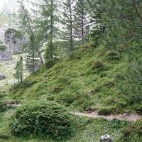 Sentiero Adolf Munkel e l'Alpe di Funes