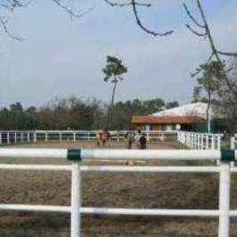 Les Petits Chevaux