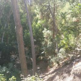 Parque del Salado
