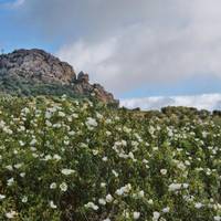 Penon de Penarroya