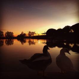 Parque de la alhondiga