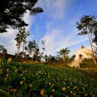Buddhism New Village