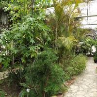 Botanic Garden Stavroupolis