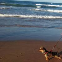 Can Beach