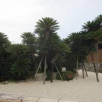 Boncho-ji Temple