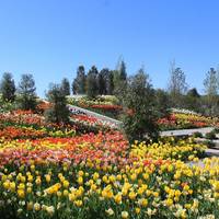 Tulsa Botanic Garden