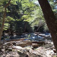 Laguna Negra