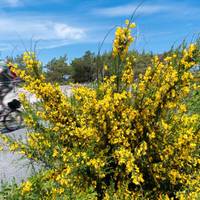 Province Lands Bike Trail