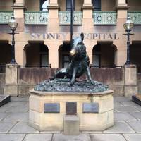 Wild Boar Fountain of Good Luck