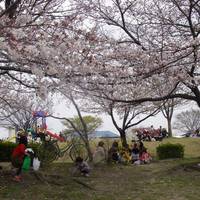 Arakogawa Park