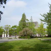 Watanabe Okina Memorial Park