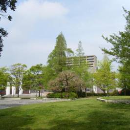 Watanabe Okina Memorial Park