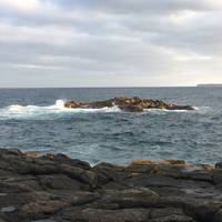 Charco del Palo