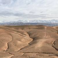 Amazing Raid Buggy Surf Maroc