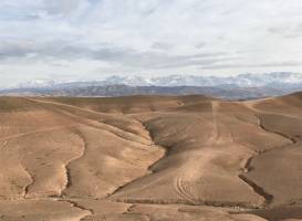 Amazing Raid Buggy Surf Maroc