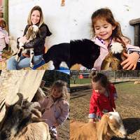 Hoof Prints Barnyard