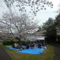 Tatsumi no Mori Ryokudo Park