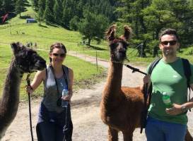 Lama- & Alpakahof Triesenberg