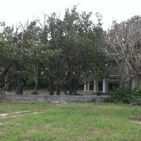 Asukuon Shrine