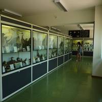 Museo di Storia Naturale