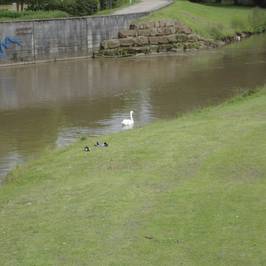 Luitpoldpark