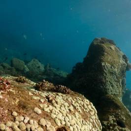 Explore Kauai Scuba