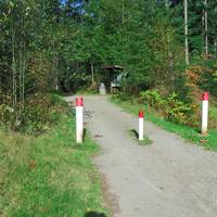 Beaver Lodge Forest Land