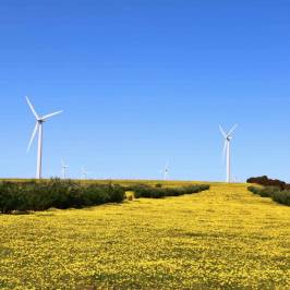 Emu Downs Wind Farm