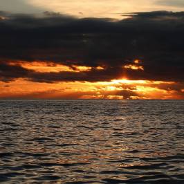 Azores Fishing