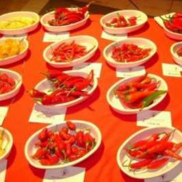 Museo del Peperoncino