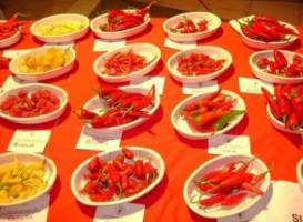 Museo del Peperoncino