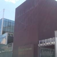 Fundacion Pedro Cano