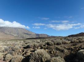 Abeque Experiences