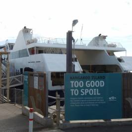 Kangaroo Island Transfers