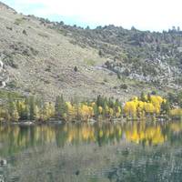 Inyo National Forest
