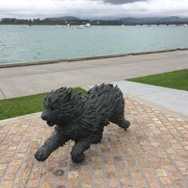 Hairy Maclary & Friends Tauranga Waterfront Sculpture