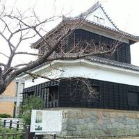 Kimon Yagura