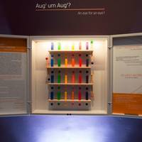 Viktor Frankl Center
