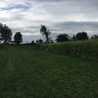 Ellms Family Farm