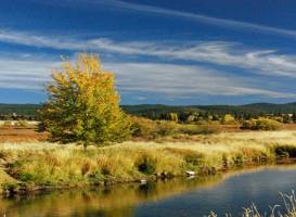 Wood River Wetland