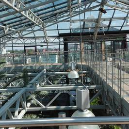 Palm House