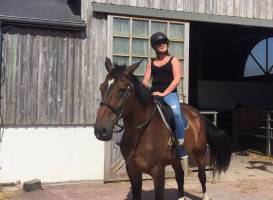 Centre Equestre de Blonville Sur Mer