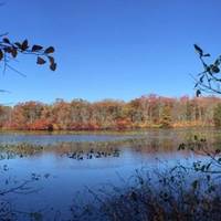 Mill Pond Park