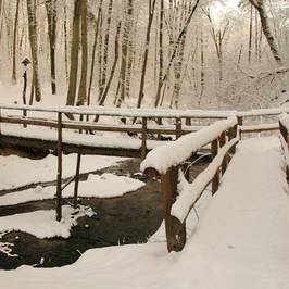 Bazantarnia Park