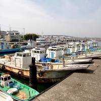 Maisaka Fishing Harbour