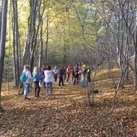 Riserva Naturale Orientata La Vauda