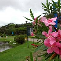 Parque Municipal Horto de Maruípe