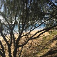 Burrum Coast National Park
