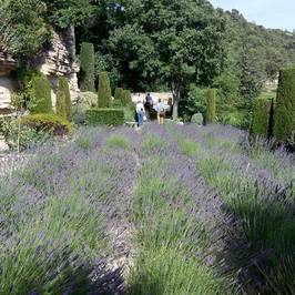 Le Jardin de la Louve