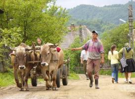 Maramures Tours